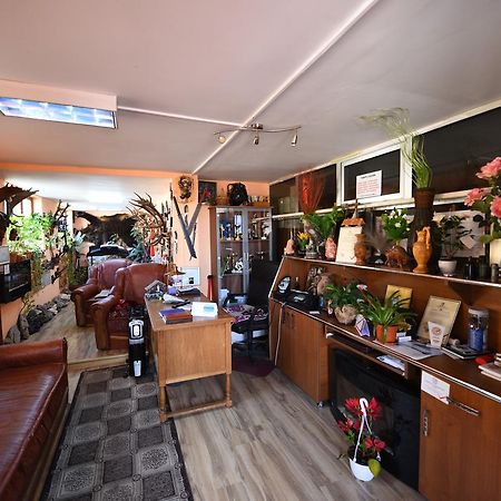 Pensiunea Dealul Viilor Deva Esterno foto
